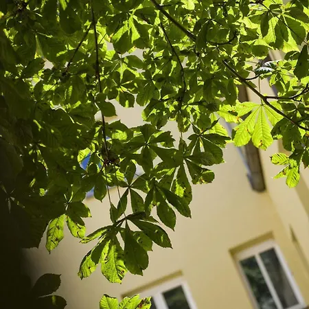 Goldener Kranich Διαμέρισμα *